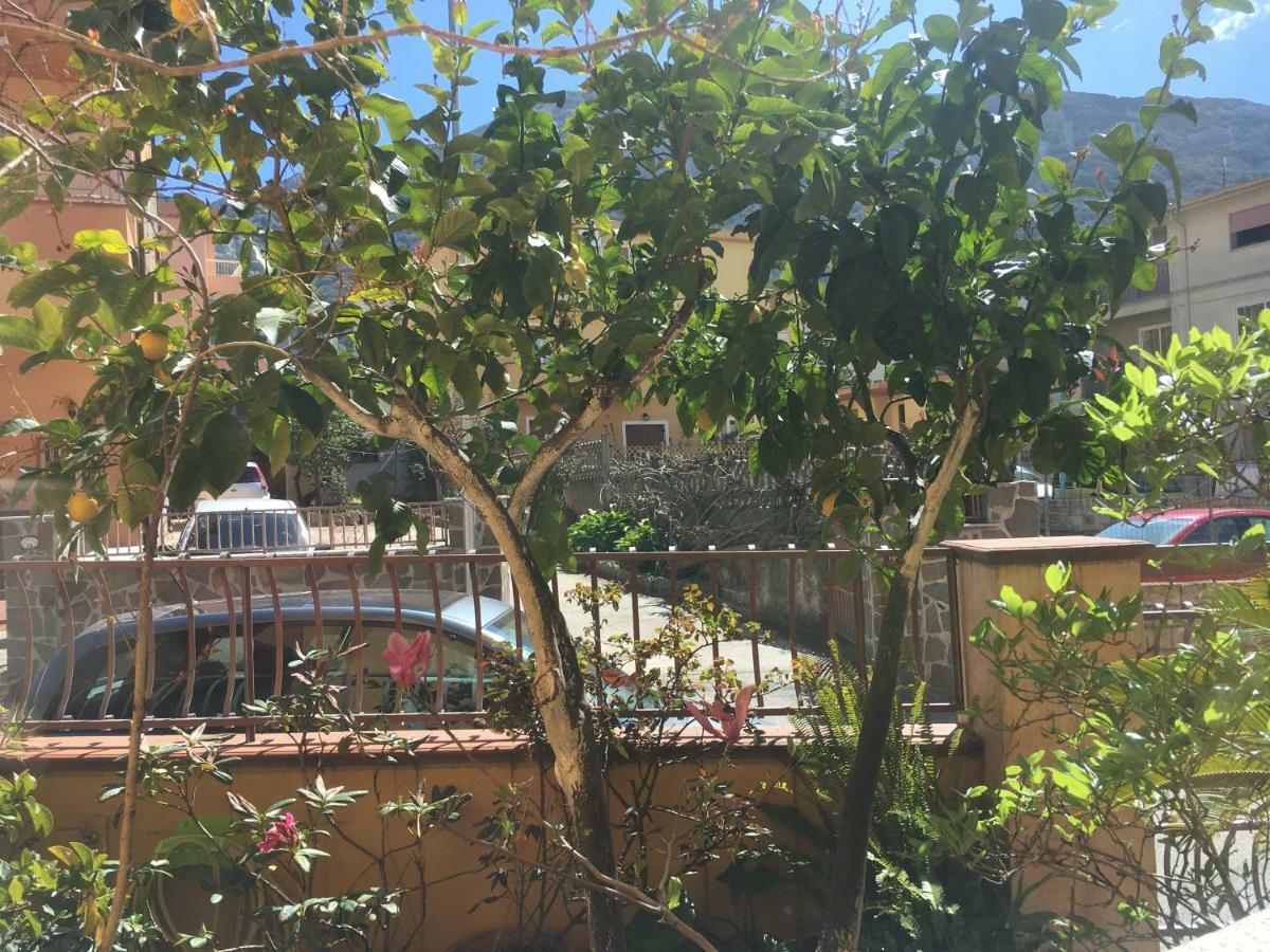 Casa Elena Leilighet Dorgali Eksteriør bilde